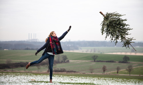 Wolfsburg lässt die Weihnachtsbäume fliegen. Foto: WMG Wolfsburg