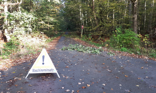 Das Forstamt erneuert drei Waldwege zwischen Bahrdorf und Mariental.

Foto: Niedersächsische Landesforsten