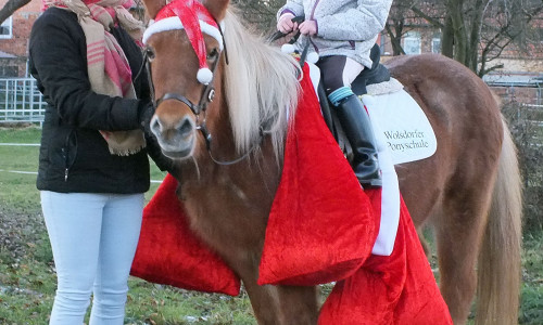Das Pony des Nikolauses mit Geschenksäcken. Geführt von Wilhelmine Kloth und mit der 6-jährigen Emmily Huth im Sattel. Foto: Verkehrswacht