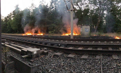 An der Bahnstrecke brannte es lichterloh. Foto: Privat