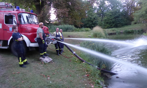 Das Wasser im Teich wurde mit Sauerstoff angereichert. Foto: Siegfried Hauptstein