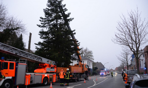 Weihnachtsbäume wurden im Stadtgebiet aufgestellt. Foto: Ortsfeuerwehr Fallersleben