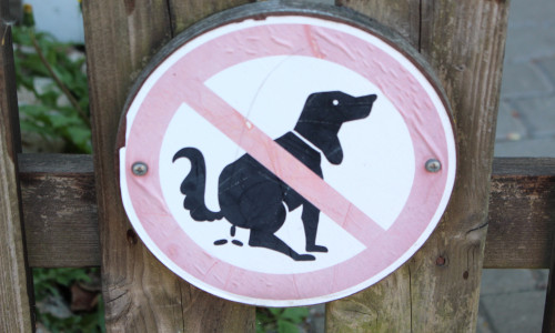 Hundekot muss beseitigt werden. Symbolbild