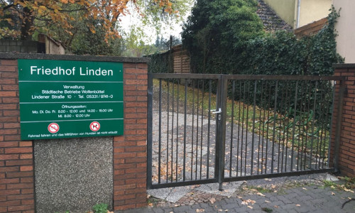 Der Lindener Friedhof soll besser gepflegt werden. So fordert es die SPD im Ortsrat. Foto: Alexander Dontscheff