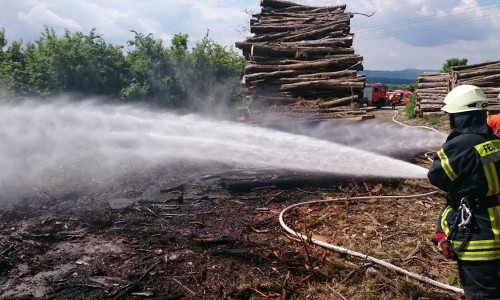 Es wurde viel Wasser benötigt um den Flächenbrand zu Löschen. Foto: Feuerwehr