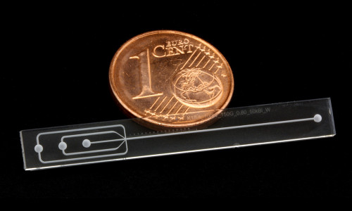 otografie eines mikrofluidischen Nanopartikelreaktors aus Glas im Größenvergleich mit einer 1-Cent-Münze. Foto: Peer Erfle/TU Braunschweig