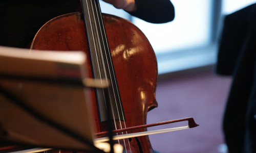 Mit seinem Cello konnte Alexander Galter beim Landeswettbewerb überzeugen. Symbolbild: Pixabay