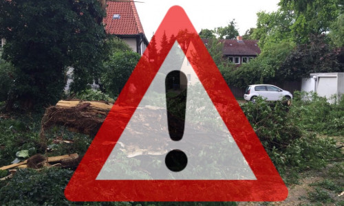 Auch im Landkreis Helmstedt ist die Feuerwehr wegen umgeknickter Bäume im Einsatz. Symbolbild: Nick Wenkel