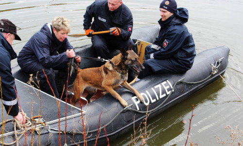 Die Leichenspürhunde suchen nach aus dem Wasser aufsteigenden Verwesungsgasen. Fotos: Sandra Zecchino