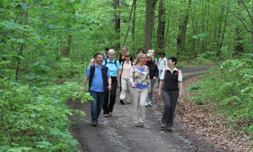 Am 3., 6. und 8. April kann im Harz wieder mit Führung gewandert werden. Foto:  Kur- Tourismus- 
und Wirtschaftsbetriebe
der Stadt Bad Harzburg GmbH