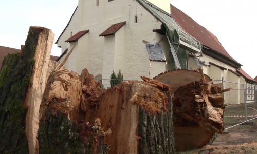 Die frisch sanierte St. Pankratiuskirche in Hankensbüttel wurde bei Baumfällarbeiten stark beschädigt. Video/Foto: aktuell24(BM/SK)