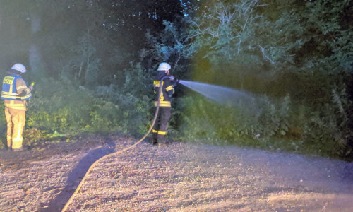 Innerhalb einer Stunde konnten die Einsatzkräfte die kleinen Feuer vollständig löschen. Foto: Feuerwehr Helmstedt