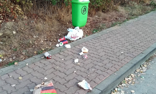 Die Gemeinde Lehre beklagt die illegale Müllentsorgung. Foto: Gemeinde Lehre