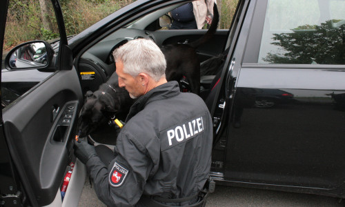 die Polizei Braunschweig konnte bereits Mitte Juli eine große Menge an Drogen sicherstellen. Symbolfoto: Anke Donner 