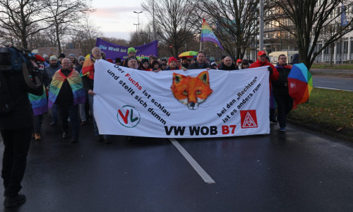 Der Protest gegen den AfD-Parteitag mündet in eine Großkundgebung mit 20.000 Menschen auf dem Braunschweiger Schlossplatz.
Foto: Rudolf Karliczek