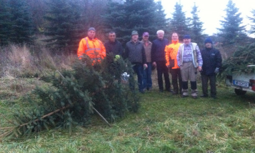 Aktiv für das Dorf: Helfer des CDU Ortsverbandes beim Fällen des Weihnachtsbaumes für das DGH. Foto: Privat