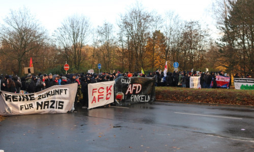 Der Protest gegen den AfD-Bundesparteitag am 30. November vergangenen Jahres blieb weitgehend friedlich. (Archivbild)