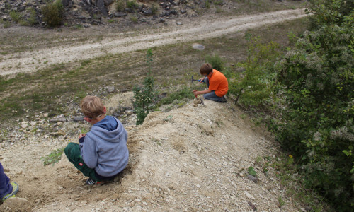 Am Samstag gibt es eine Fossiliensuche in Hondelage. Foto: Geopark/S. Dargatz