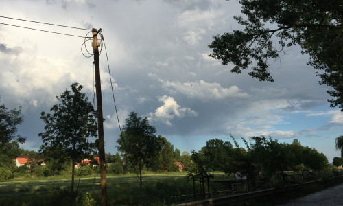 Durch herabstürzende Äste wurden in Hornburg Stromleitungen zerstört. Foto: Anke Donner
