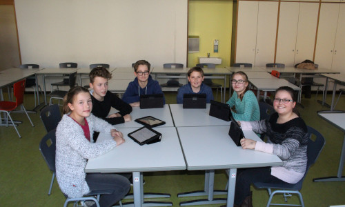 Schüler des Gymnasiums im Schloss erlernten spielerisch den Umgang mit dem Internet. Foto: Bernd DUkiewitz