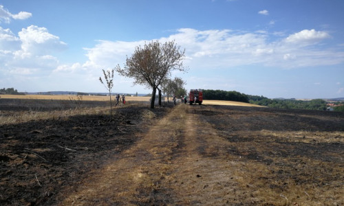 Bei den Mäharbeiten war ein rund ein Hektar großer Getreideschlag in Brand geraten. Foto: Jill Geske-Gloger