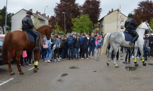 Die Pferdevorführung war einer der Höhepunkte des Tages. Foto: Polizei Salzgitter
