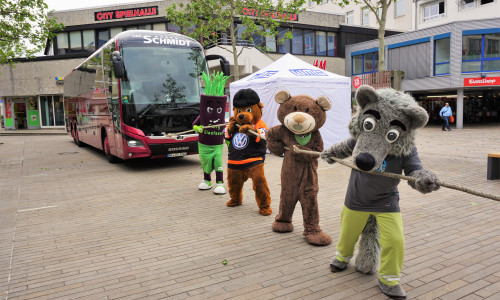 Die Maskottchen versuchen sich auch im Buspulling. Foto: WMG Wolfsburg
