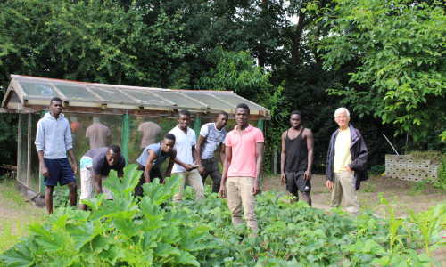 Zehn junge Männer von der Elfenbeinküste bewirtschaften gemeinsam mit Lothar Matussek den Garten hinter ihrem Wohnhaus in Groß Schwülper. Foto: Eva Sorembik