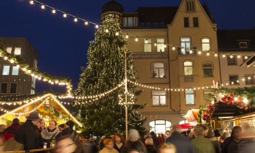 Echte Braunschweiger Tannen schmücken den Weihnachtsmarkt. Symbolfoto: Braunschweig Stadtmarketing GmbH