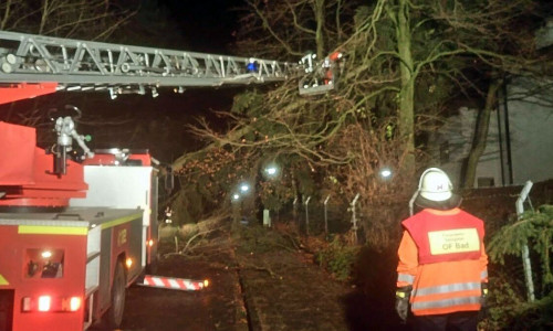 Durch die starken Orkanböen wurden etliche Bäume umgeworfen, die Feuerwehr war über Stunden im Einsatz. Foto: Freiwillige Feuerwehr Salzgitter-Bad