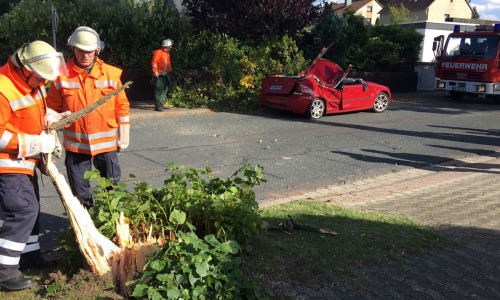 In Peine wurde ein Autofahrer durch einen umstürzenden Baum verletzt. Foto: aktuell24/DC