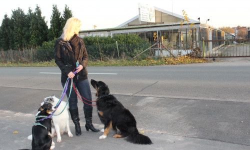Vanessa Lange versteht die Ablehnung zum Hundplatz durch die politischen Gremien nicht. Foto/Video: Anke Donner 