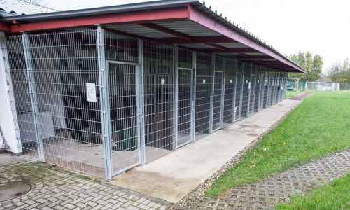Renovierungsbedarf im Tierheim. Fotos: Tierschutzverein Salzgitter und Umgebung e.V.