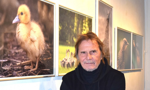 Uli Stein zeigt im Goslarer Museum Fotos und Cartoons von Tieren. Foto: Stadt Goslar