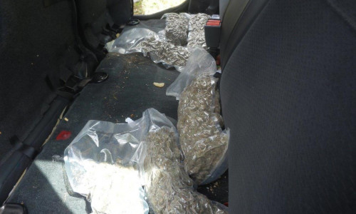Unter den Sitzpolstern der Rücksitzbank fanden die Kontrollbeamten sechs vakuumverschweißte Plastiksäcke, die augenscheinlich Marihuanapollen enthielten. Foto: HZA