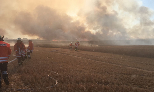 Noch immer ist die Flächen- und Waldbrandgefahr hoch. Foto/Video: aktuell24