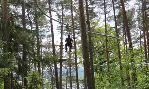 Bald sollen Besucher auch durch Harzer Baumwipfel schweben. Symbolfoto: Abenteuerwald GmbH