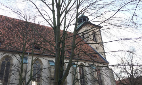 Kirche in Hornburg. Foto: Anke Donner