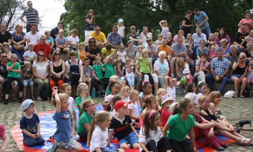 Das Showprogramm ist für viele Besucher des Kinderfestes ein Highlight. Foto: Jugendpflege der Gemeinde Vechelde