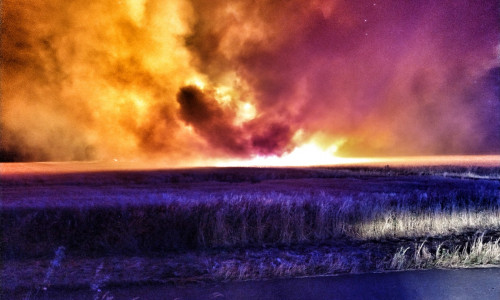 Flammen erhellen die Nacht. Fotos: Feuerwehr Vorsfelde