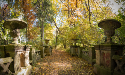 Der Herbst hat viele farbenfrohe Seiten, wie das Foto im Schloßpark Ringelheim zeigt. Foto: André Kugellis/Stadt Salzgitter