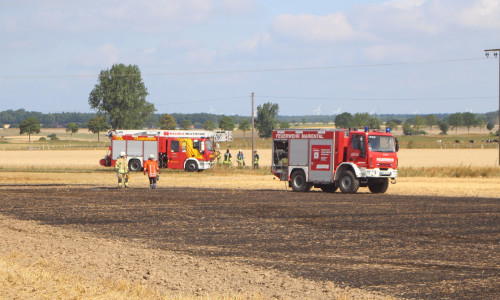 Zwischen Rennau und Rottorf brannte ein Feld. Foto: Kreisfeuerwehr