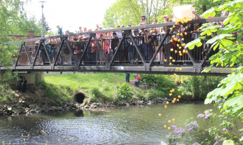 Am Samstagmorgen startet an der Brücke am Teichgarten das Entenrennen. Fotos:Anke Donner