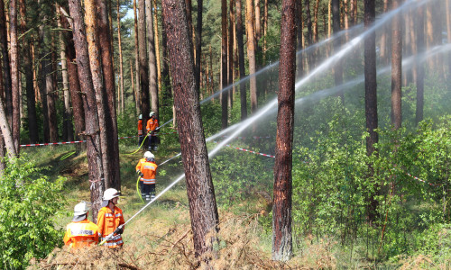 Die Feuerwehren der Samtgemeinde Meinersen übten den Ernstfall. Ein halber Hektar wäre zu löschen gewesen. Fotos: Jonas Walter