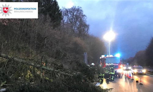 Der Sturm ließ einen Baum auf die Fahrbahn stürzen, dem eine Fahrzeugführerin nicht mehr ausweichen konnte. Foto: Polizei
