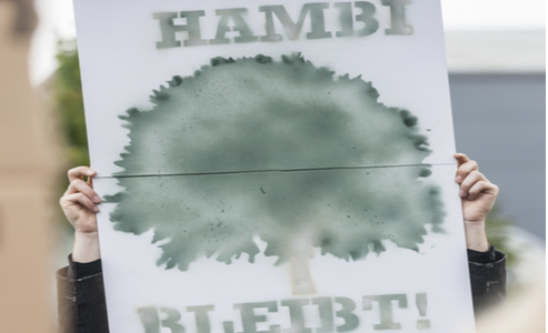 Greenpeace Braunschweig äußert sich zu den Plänen in Bezug auf den Hambacher Forst und kündigt für den morgigen Samstag eine Demonstration auf dem Schlossplatz in Braunschweig an. Quelle: Greenpeace Braunschweig