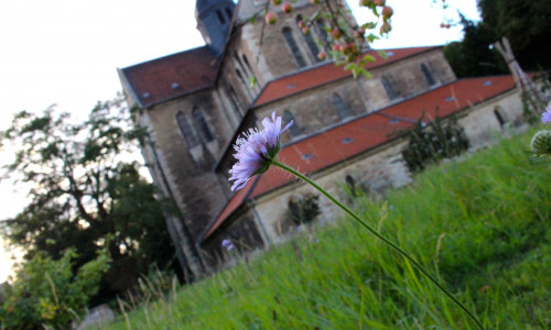 In der Klosterkirche Riddagshausen findet am Sonntag der Festgottesdienst statt. Foto: Sina Rühland