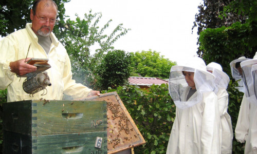 Imker Tostmann zeigt seine Bienen. Foto: Tier- und Ökogarten Peine
