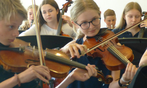 Die jungen Musiker gaben sich viel Mühe beim Sommerkonzert der Großen Schule in Wolfenbüttel. Sie ernteten dafür großen Applaus. Foto: Große Schule