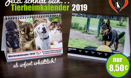 Der Tierheimkalender 2019, jetzt erhältlich. Foto: Tierheim Salzgitter